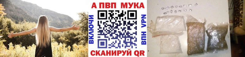  COCAIN Кохма