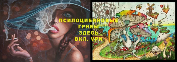амф Нефтекумск