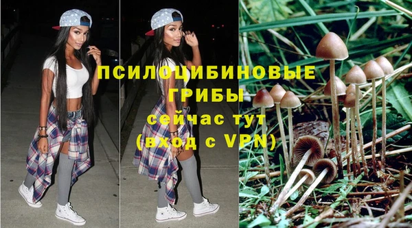 амф Нефтекумск