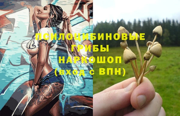 амф Нефтекумск