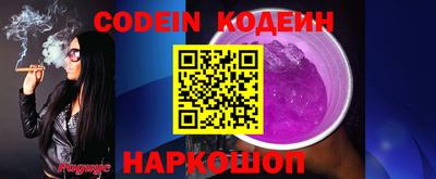 гашик Берёзовский