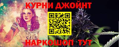 гашик Берёзовский