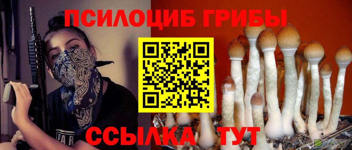 Кохма  Галлюциногенные грибы мицелий  Вход с VPN 